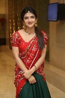 Sreeleela Half Saree Photos